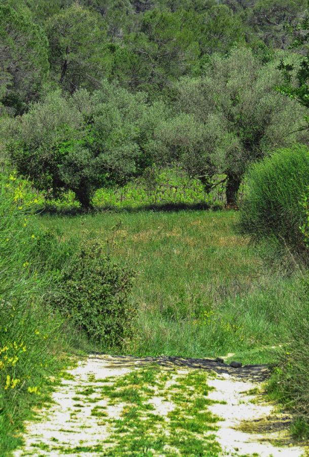La Bastide De Canaules Екстер'єр фото
